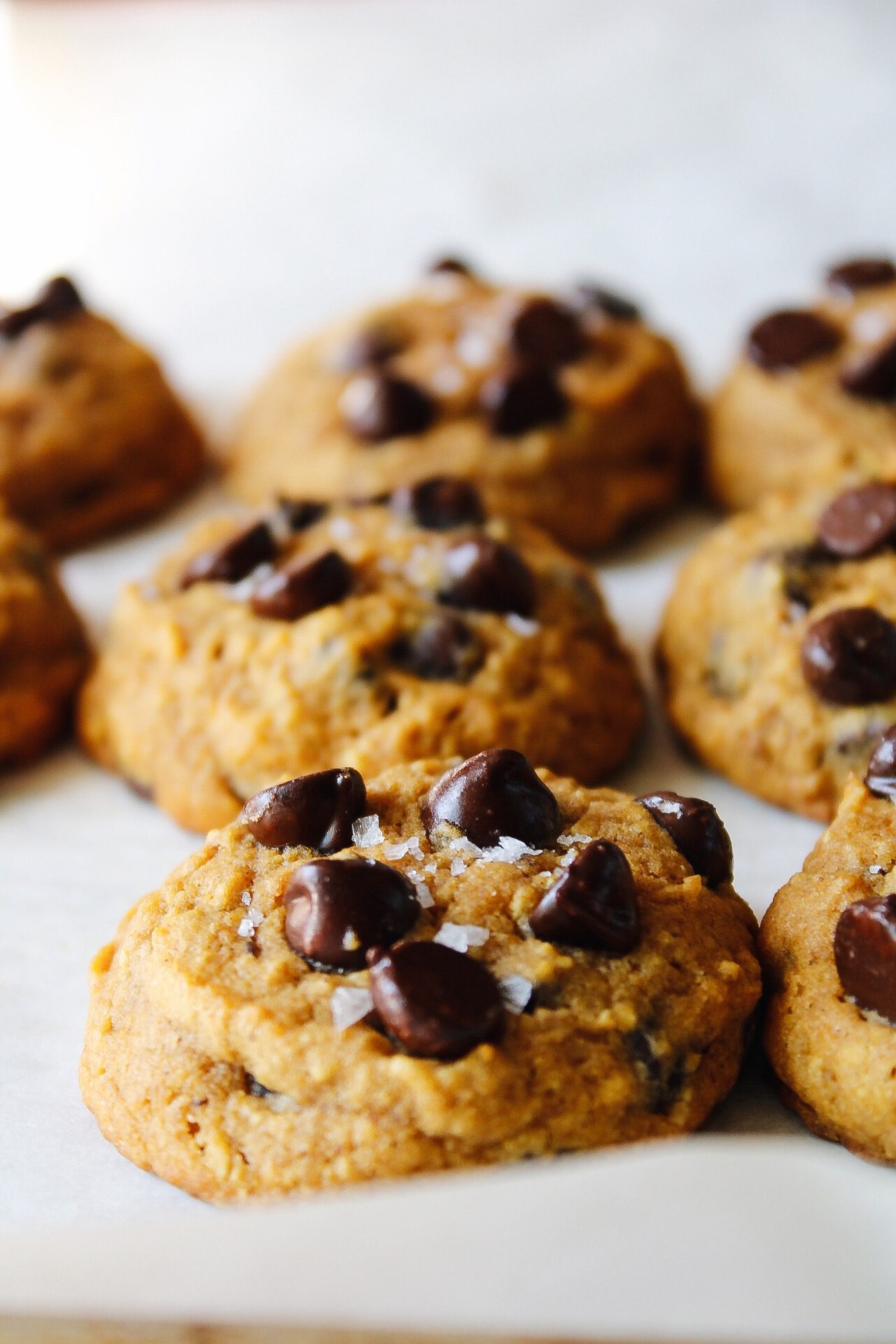 gluten-free pumpkin chocolate chip cookies on a baking sheet lined with white parchment paper. Cookies are topped with sea salt.