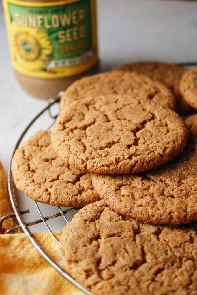 sunbutter cookies with a jar of sun flower seed butter in the background