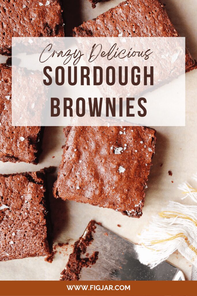 sourdough brownies cut into squares and sprinkled with sea salt