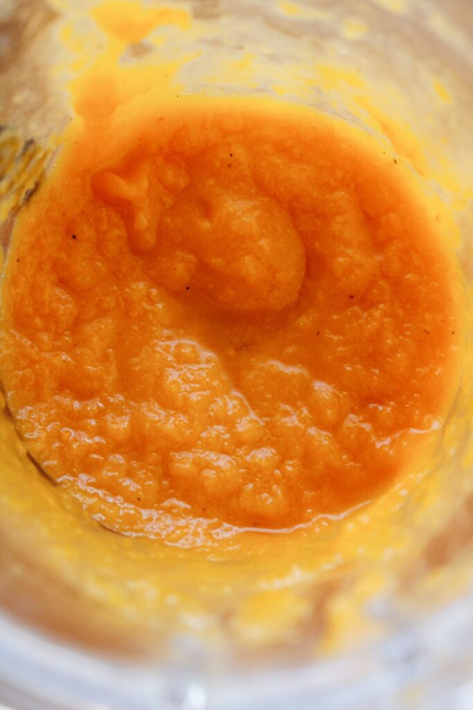 roasted butternut squash blended with broth until smooth