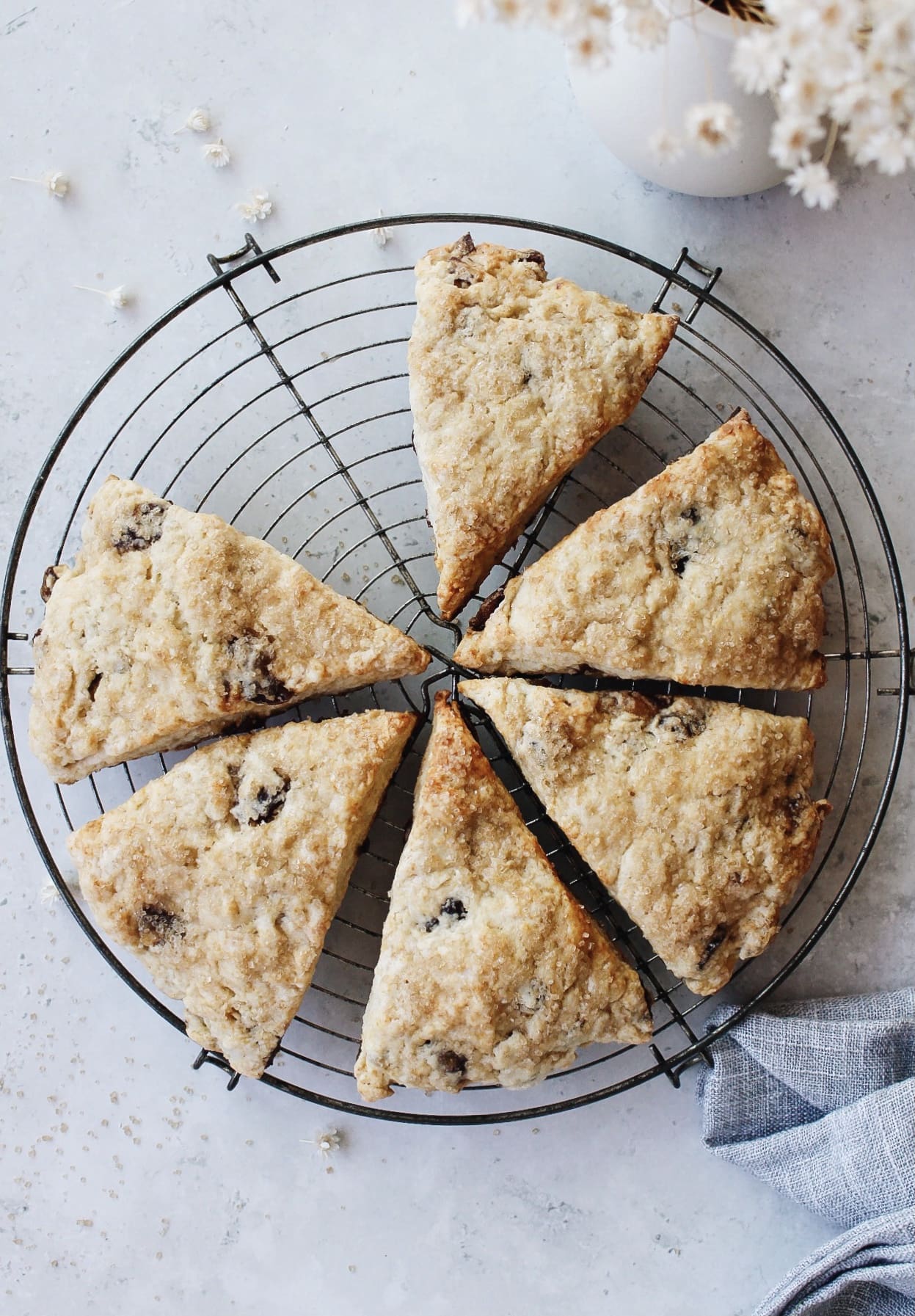 date scones arranged in a circle on an antique cooling rack