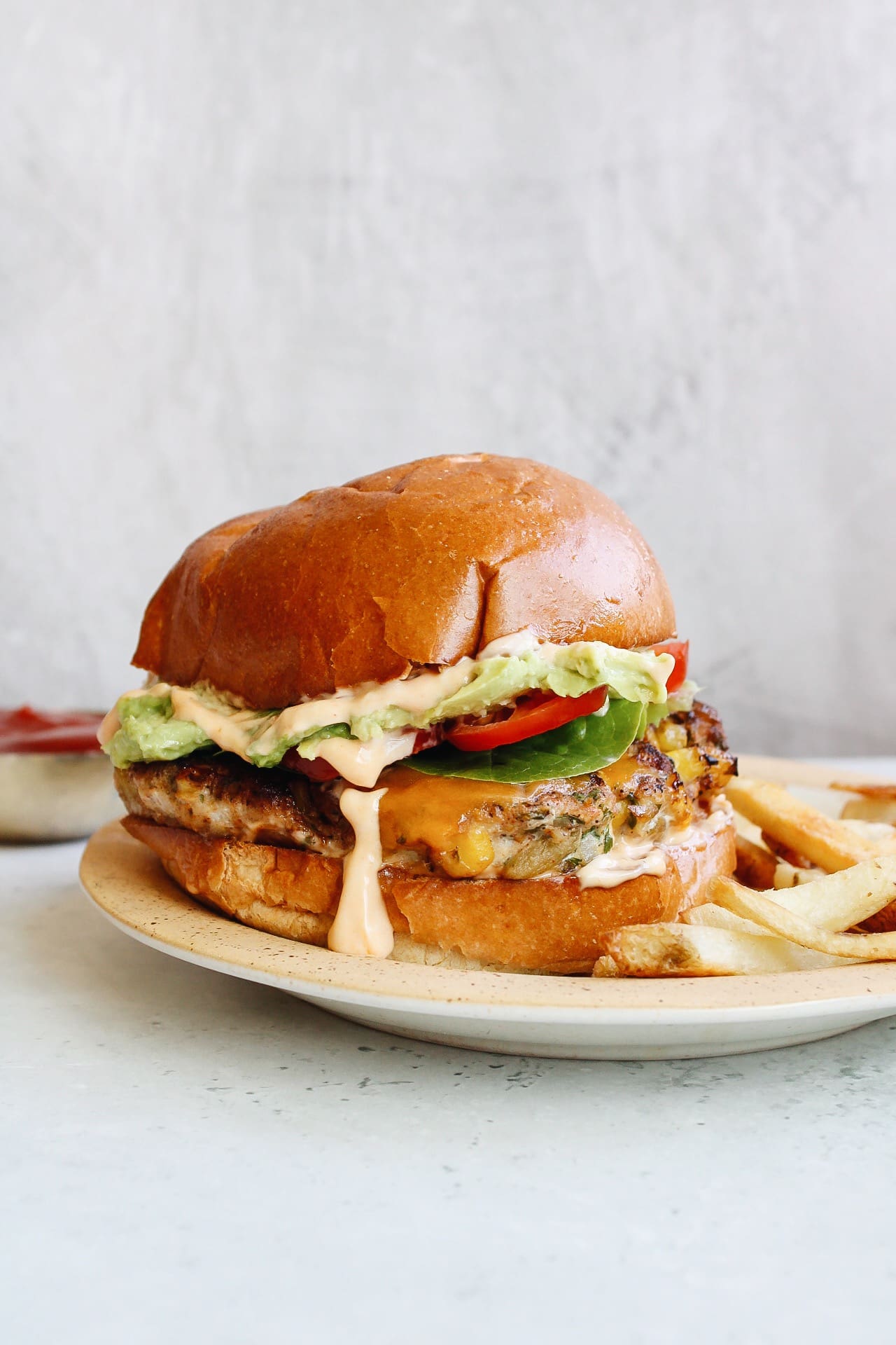 southwest chicken burger on a white plate with fries