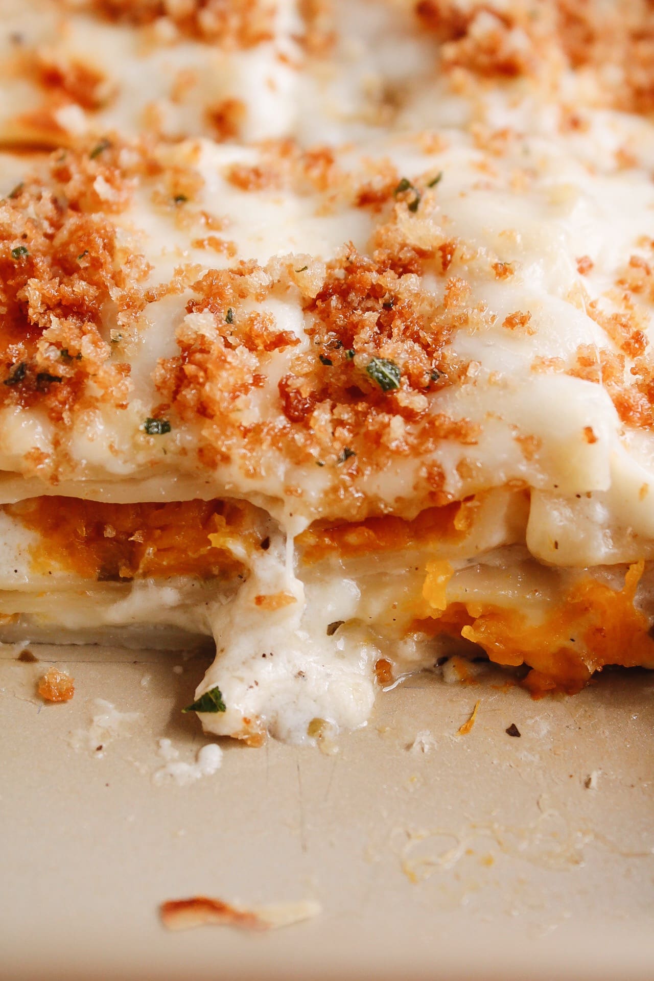 Butternut squash lasagna layered with Alfredo sauce and melted mozzarella cheese in a baking dish.