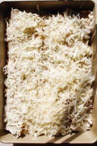 mozzarella cheese layer in butternut squash lasagna